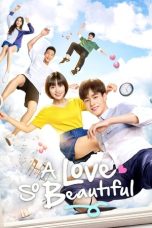 Wo Men Dan Chun De Xiao Mei Hao (A Love So Beautiful) – Season 1